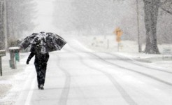 Маргаашнаас зарим нутгаар нойтон цас орж, хүйтэрнэ